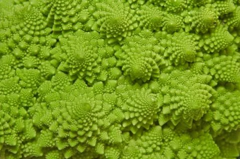 Cabbage romanesco background Stock Photos