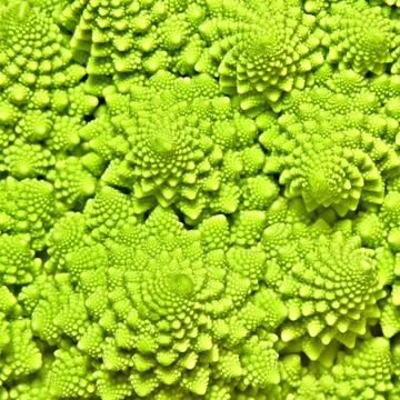 Cabbage romanesco background Stock Photos