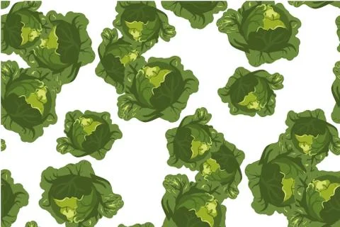 Cabbage seamless pattern on white Stock Illustration