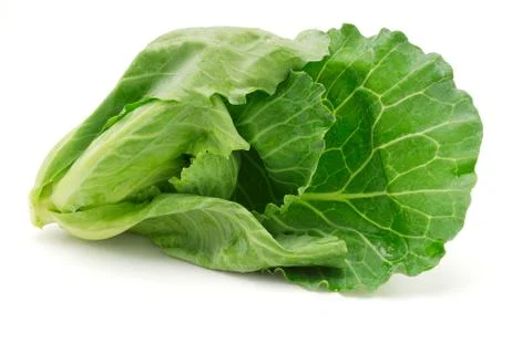 Cabbage shoot Stock Photos