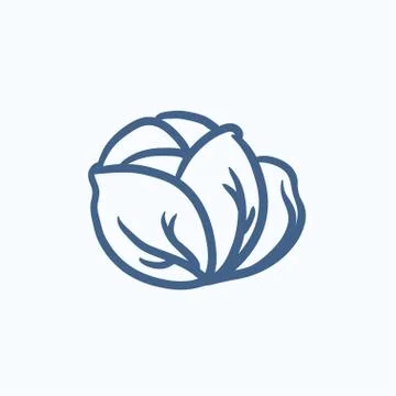 Cabbage sketch icon Ilustración de archivo