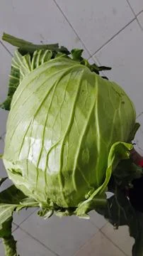 Cabbage is a sweet flavored, Stock Photos