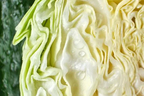Cabbage swing pattern half sliced with macro Stock Photos