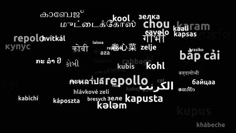 Cabbage Translated in 66 Worldwide Languages Endless Looping 3d Zooming Wordc Stock Footage 145214117