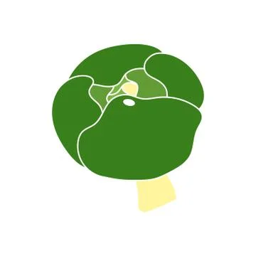 Cabbage vector design template illustration.icon logo design elements Stock Illustration