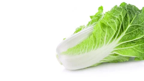 Cabbage vegetable Video stock 281183702