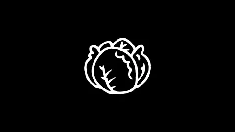 Cabbage Vegetable Harvest Icon Stock Footage 345591211