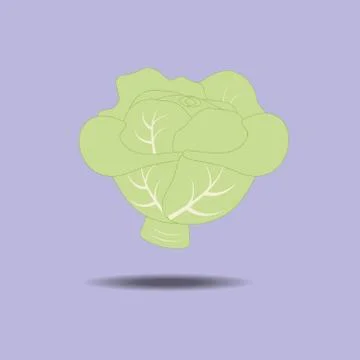 Cabbage Vegetable Icon Ilustración de archivo