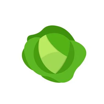 Cabbage vegetable icon line colored. Garden flat illustration.. Stock Illustration