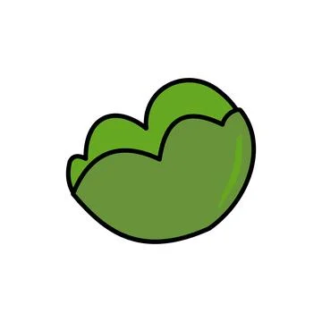 Cabbage vegetable isolated icon illustration design Stock Illustration