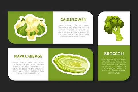 Cabbage Vegetable Label Design with Crop Vector Template Ilustración de archivo
