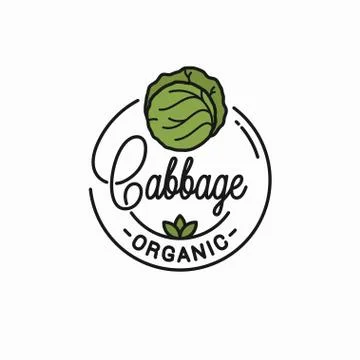 Cabbage vegetable logo. Round linear green cabbage Stock Illustration