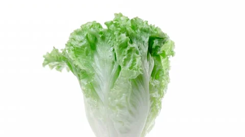 Cabbage vegetable organic food Video stock 281183993