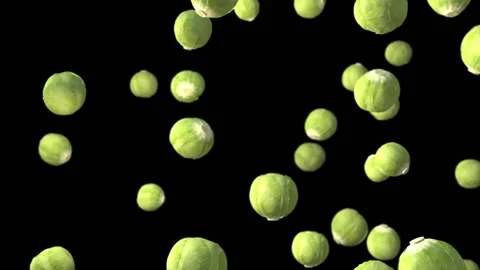 Cabbage vegetable particle loop animation Vídeos de archivo 146060838