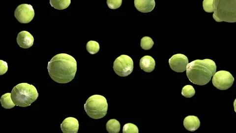 Cabbage vegetable particle loop animation Stock Footage 146060859