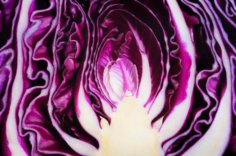 Cabbage vegetable Foto stock