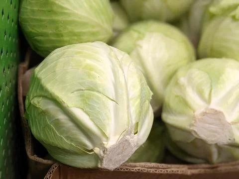Cabbage. Vegetables. Head of cabbage Stock Photos