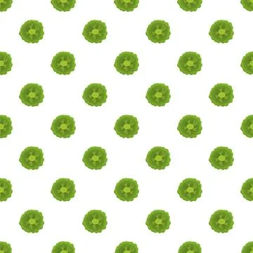 Cabbage vegetables seamless repeating pattern illustration Stock Illustration