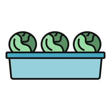 Cabbage vegetables in tray line icon Stock Illustration