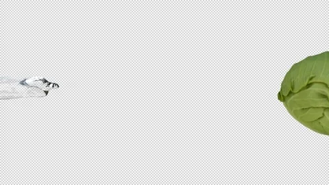 Cabbage Water Splash on Transparent Background (Super Slow Motion) Stock Footage 136633203