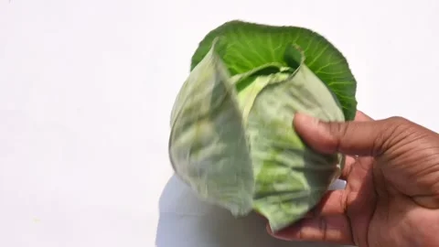 Cabbage on white background. Stock Footage 272436731
