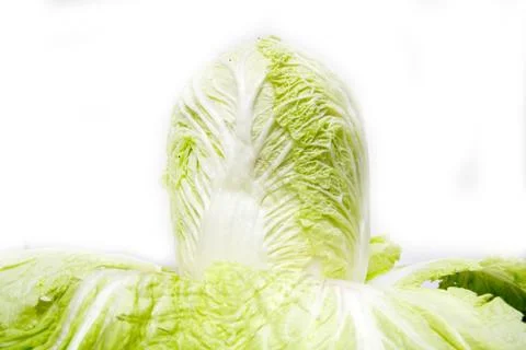 Cabbage on a white background Stock Photos