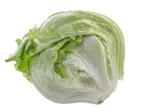 Cabbage on a white background Stock Photos