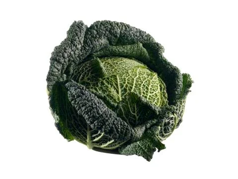 Cabbage on white background Stock Photos