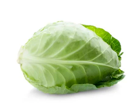 Cabbage on white background Stock Photos