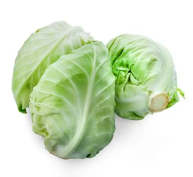 Cabbage on white background Stock Photos