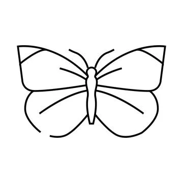 Cabbage white summer line icon vector illustration Illustrazione stock