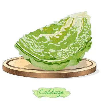 Cabbage on wood deck vector illustration set isolated on white. Stock Illustration