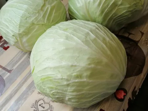 Cabbage2 Stock Photos