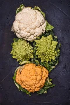 Cabbages of different colors on black background. Stock Photos