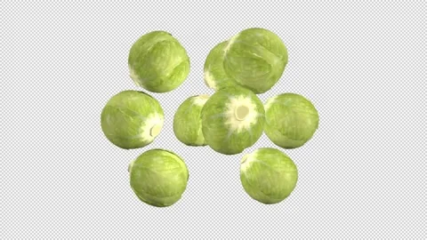 Cabbages rotate in transparent background 動画素材 148495791