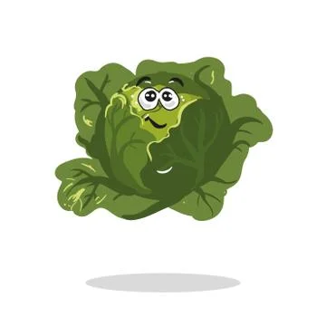 Cabbiage cartoon character with cute face vector Stock Illustration