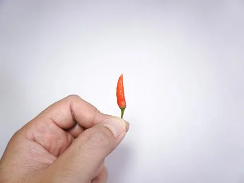Cabe rawit or cayenne pepper Stock Photos