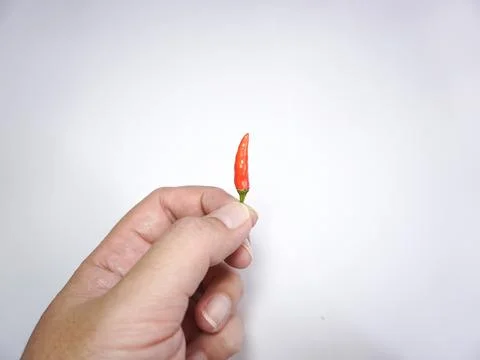 Cabe rawit or cayenne pepper Stock Photos
