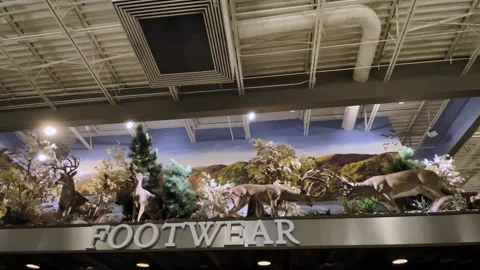 Cabela's Outpost retail store interior realistic wall display in footwear Stock Footage 219754841