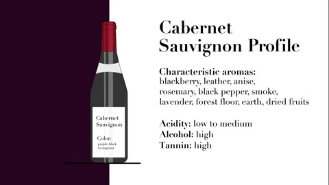 Cabernet Sauvignon Animation Video stock 134391597