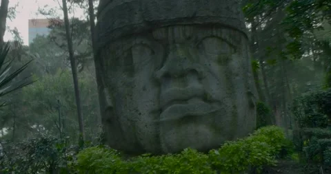 Cabeza Olmeca  Stock Footage 219688642