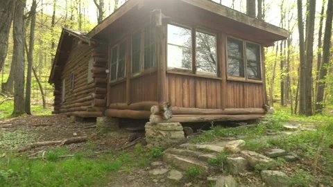 Cabiin in the Woods 動画素材 215937551
