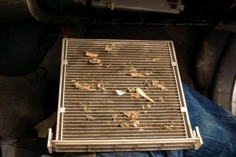 Cabin Air Filter Replacement - Old Filter Removed from HVAC System Stock Photos