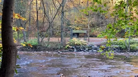 Cabin Along A River Stock Footage 220208324