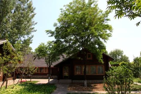 The cabin among the trees Stock Photos