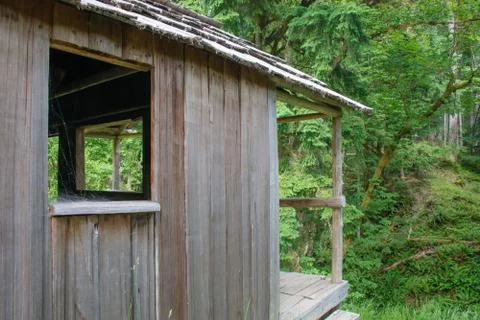 Cabin and forest Stock Photos