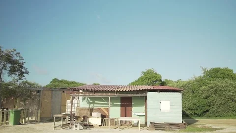 Cabin on bonaire Video stock 80222518