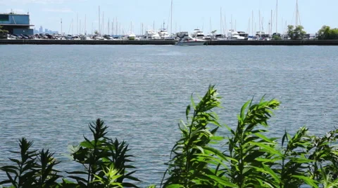 Cabin Cruiser going Down River Stock Footage 40575632