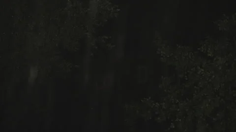 Cabin in a dark forest at night during a heavy rainstorm with lightning Video stock 341778552