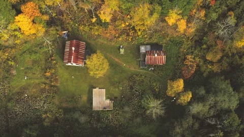 Cabin in the deep woods Vídeo Stock 95958622